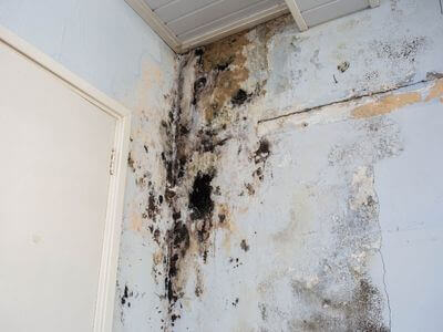 About NextWave Techs - water damage restoration experts in Los Angeles